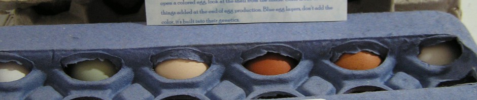 My eggs, my cartons, my label